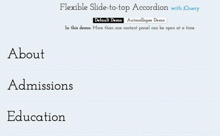 Flexible Slide
