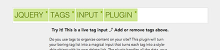 jQuery Tags Input