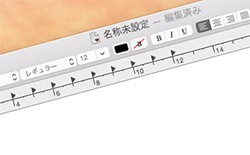 リッチテキストから標準テキストに変更
