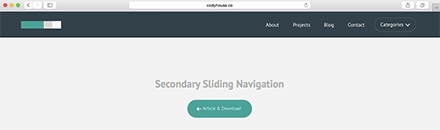 Secondary Sliding Navigation