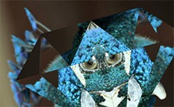 Prism Effect Slider