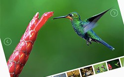 JQuery lightSlider