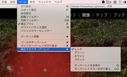Lightroomでマスクの色を変更するやり方 ショートカットキー Bl6 Jp
