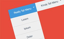 Solution for Long Drop Down Items