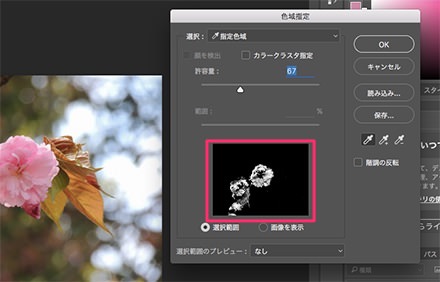 白黒のプレビュー画面