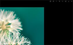 lightgallery.js