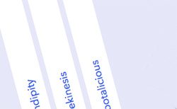 Expanding Bar Navigation Concept