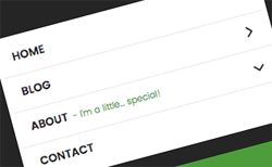 slider Menu