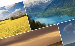 Images grid