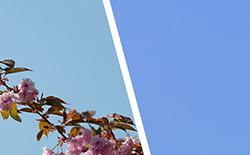 Photoshopの「特定色域の選択」