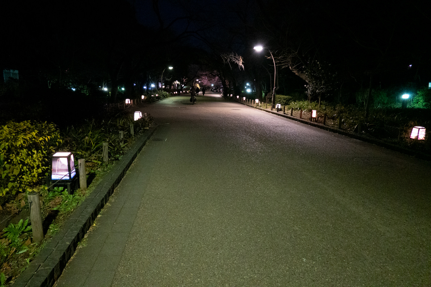 夜の上野公園