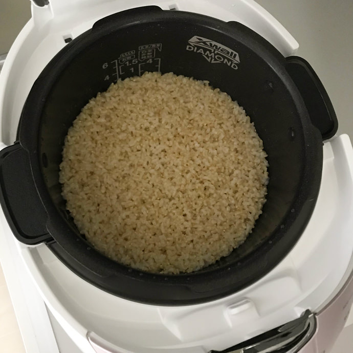 炊きあがった玄米