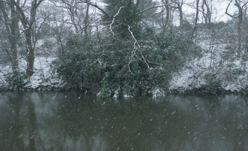 大雪の千秋公園のお堀