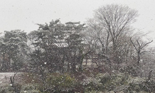 雪が降る千秋公園