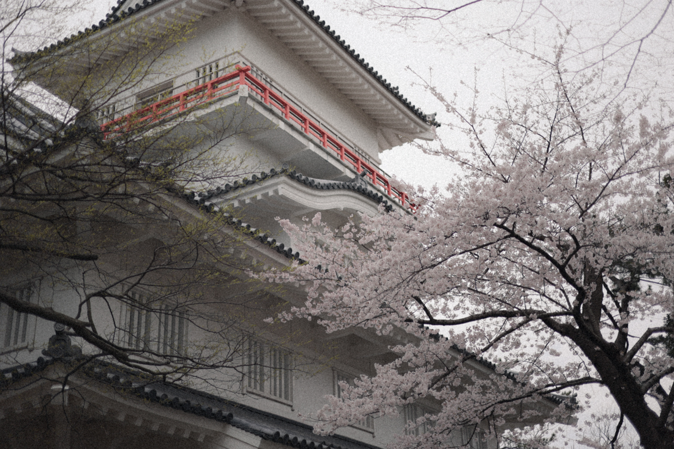 桜と久保田城