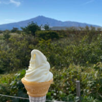 土田牧場のソフトクリーム