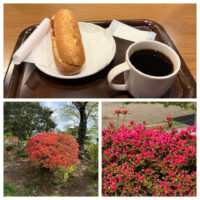 チキンアラビアータとつつじ