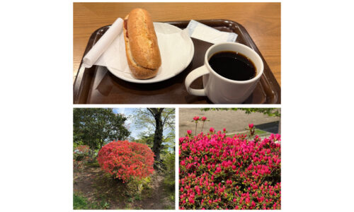 チキンアラビアータとつつじ