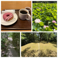 ブルーベリークリームチーズドーナツ