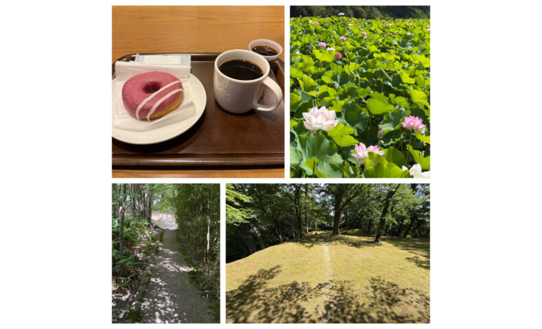ブルーベリークリームチーズドーナツ