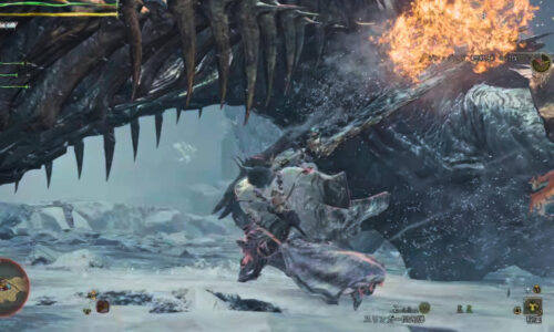 星10の歴戦王ジンダハド