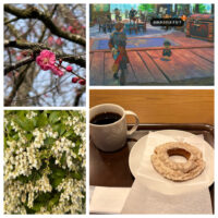 バニラドーナツやモンハンストーリーズ3など