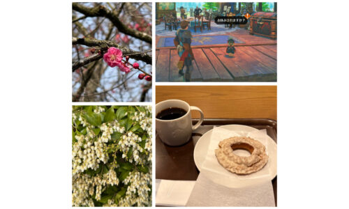 バニラドーナツやモンハンストーリーズ3など