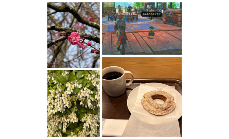 バニラドーナツやモンハンストーリーズ3など