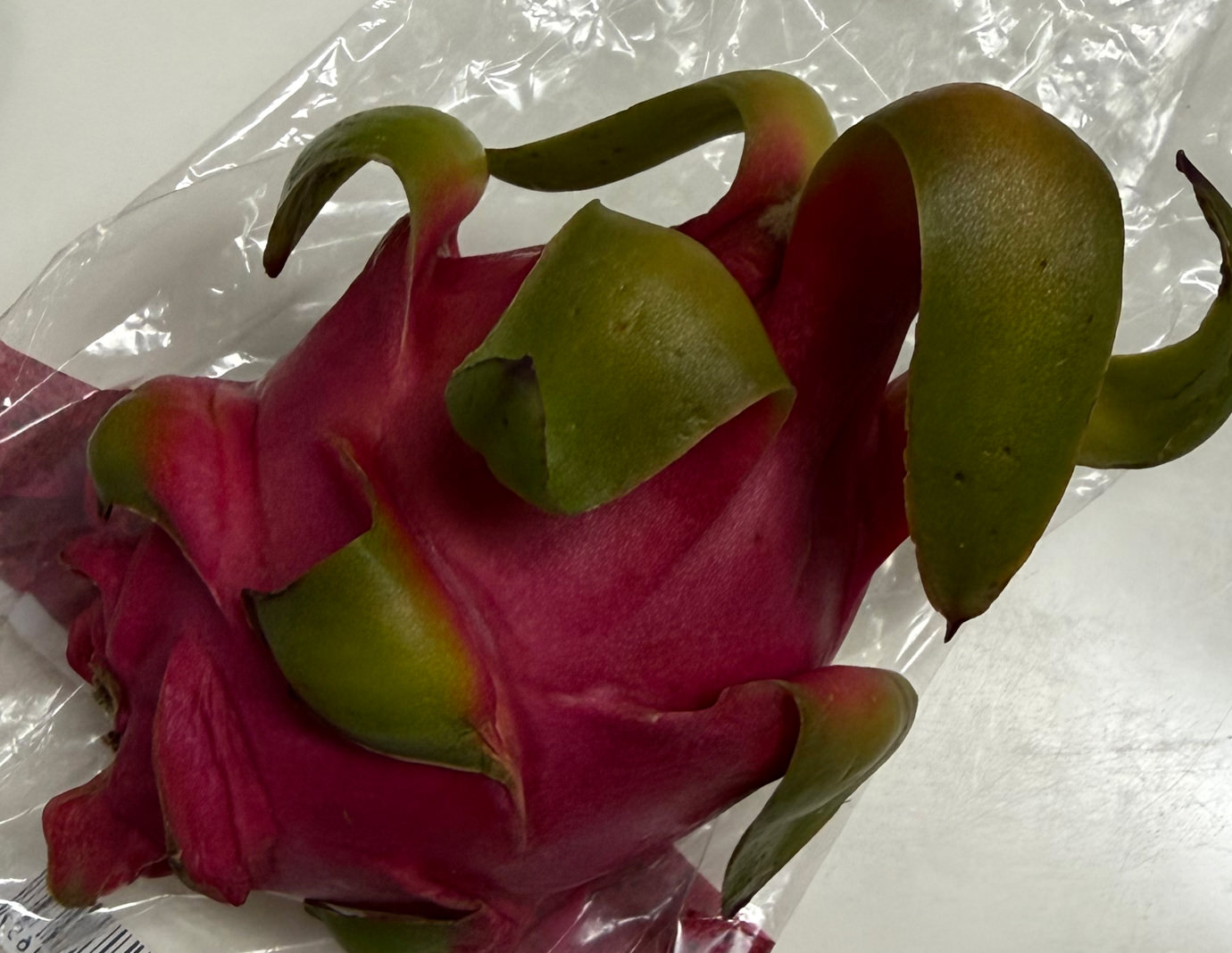 ドラゴンフルーツ